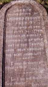 The Grave of Richard Parker