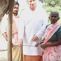 Cow Donation